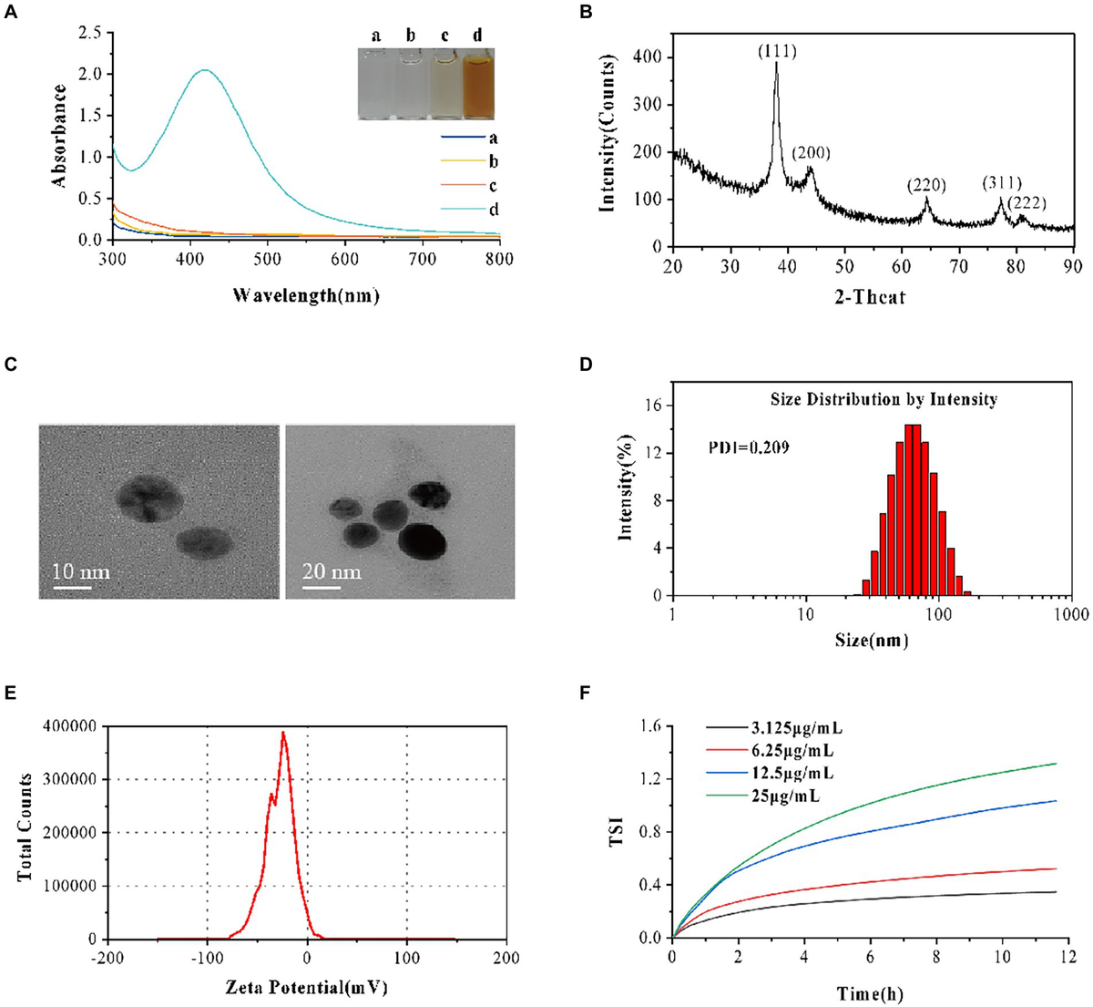Agnese Nano: Riflessioni sulla fede e il divino | TikTok, image size:1200x1105