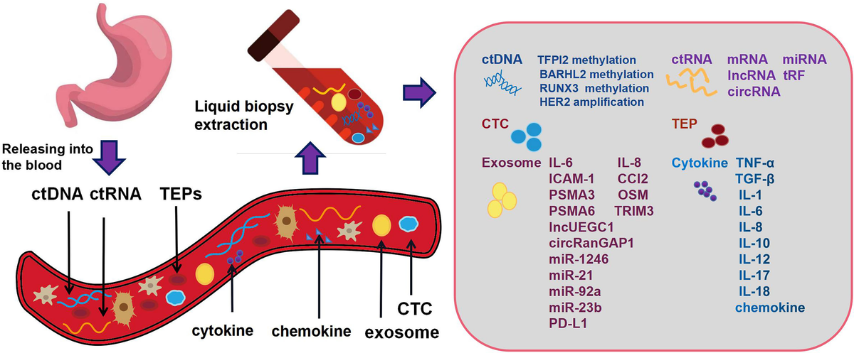 Frontiers | Application progress of liquid biopsy in gastric