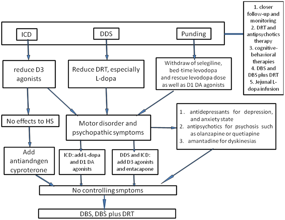 Frontiers | Impulsive and Compulsive Behaviors in