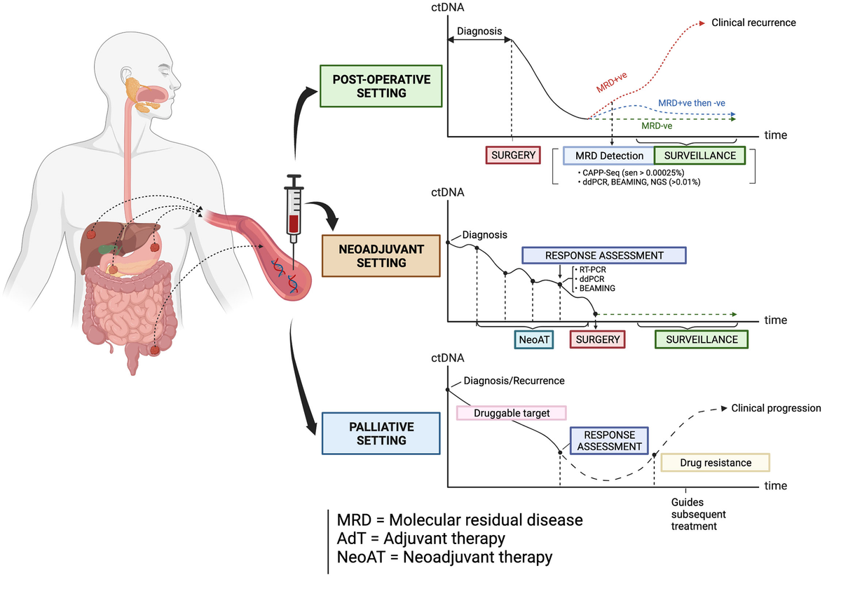 Frontiers | Clinical applications of circulating tumor