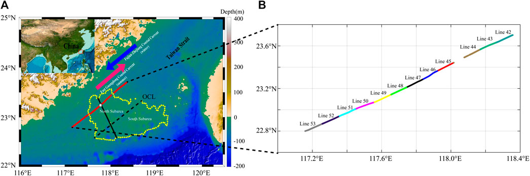 Selectivity Determinants of RHO GTPase Binding to IQGAPs