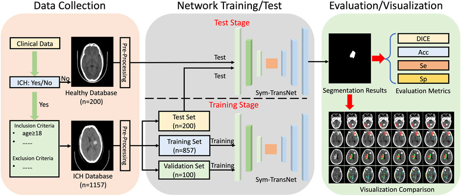 Frontiers | A symmetric prior knowledge based deep learning