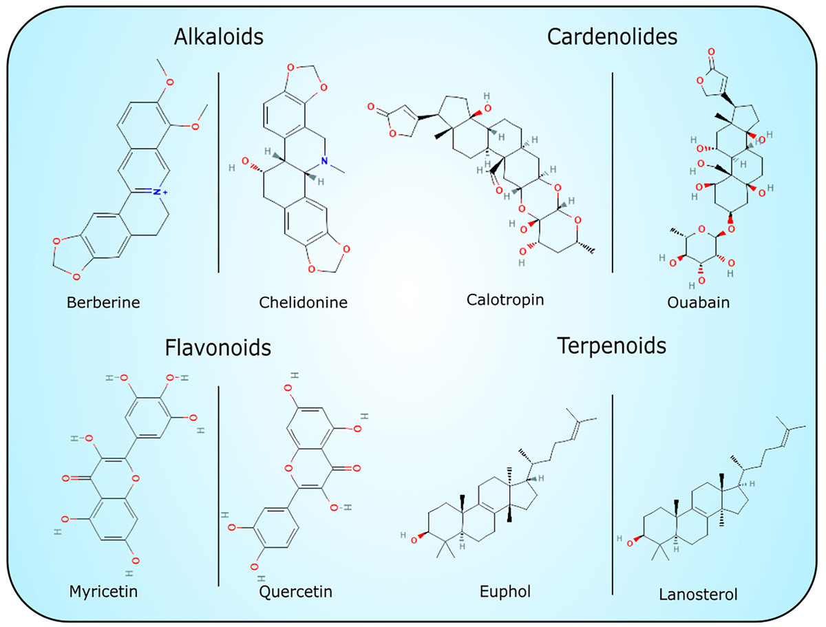 Frontiers | Tap the sap – investigation of latex-bearing