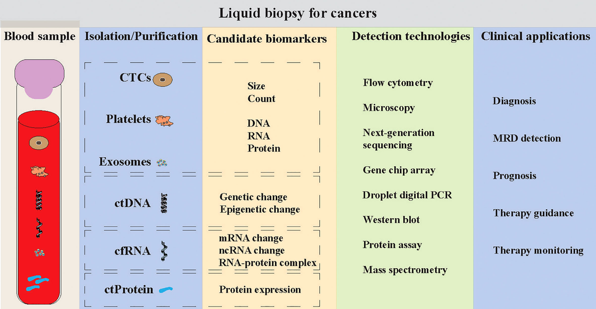 Frontiers | Platelet detection as a new liquid biopsy tool for 