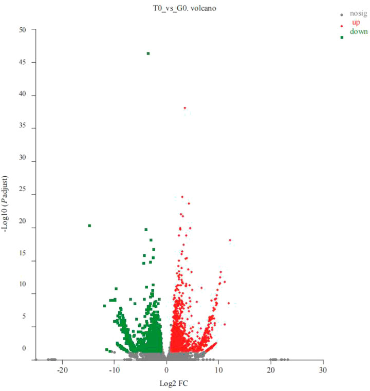 Frontiers | Energy consumption and intestinal microbiome