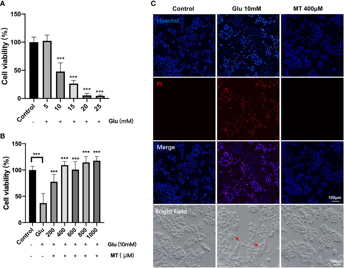 Frontiers | The neuroprotective effect of melatonin in