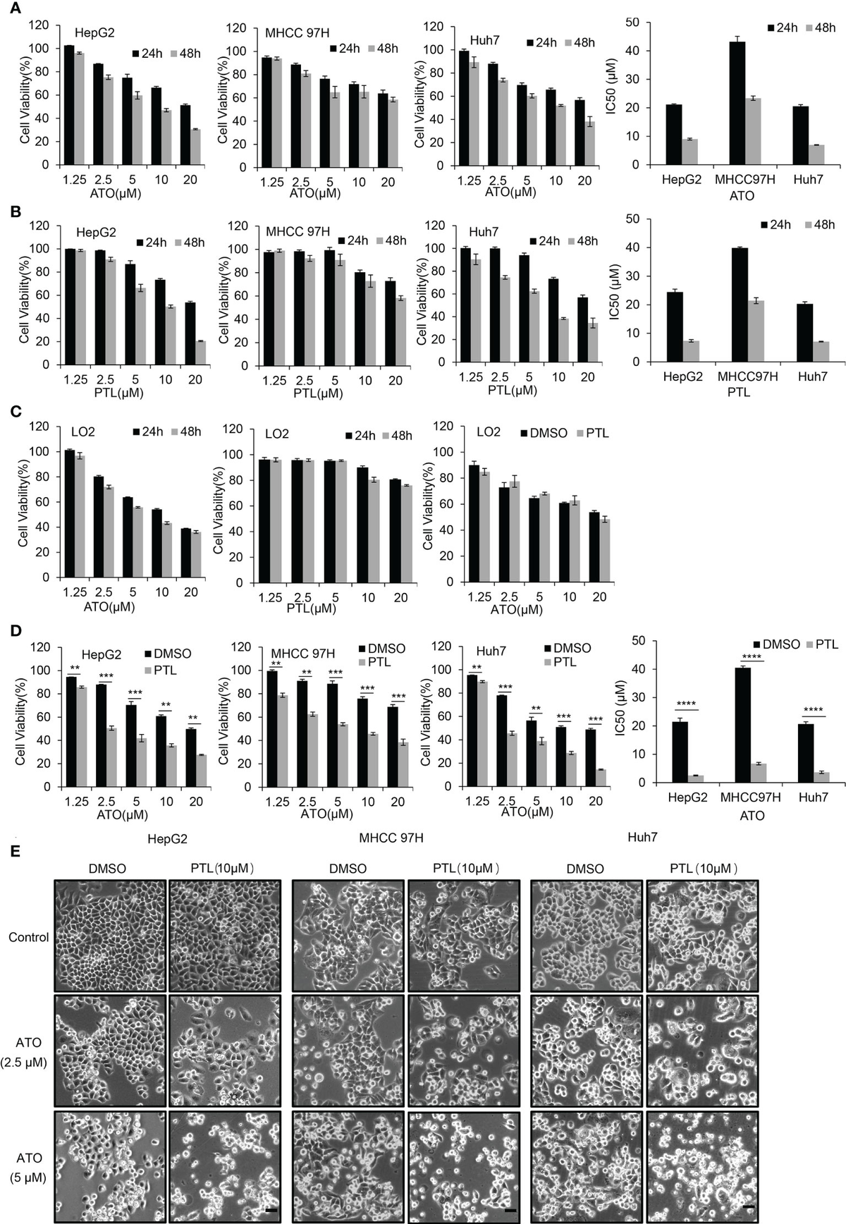 クッキー Lactoferrin Alleviates Inflammation and Regulates Gut