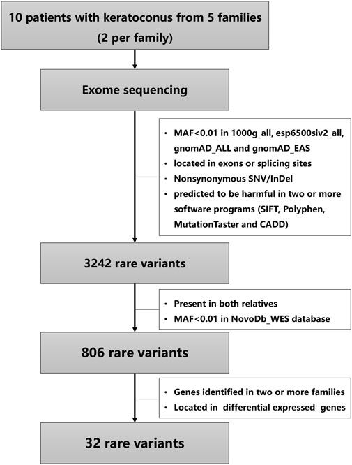 Frontiers | Family-based exome sequencing identifies