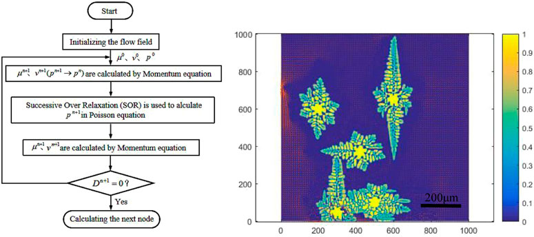 Frontiers | Application of phase field model coupled with convective ...