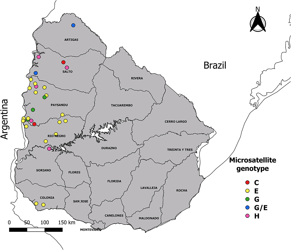 Twinkle Khanna yalangoch filmografiyasi