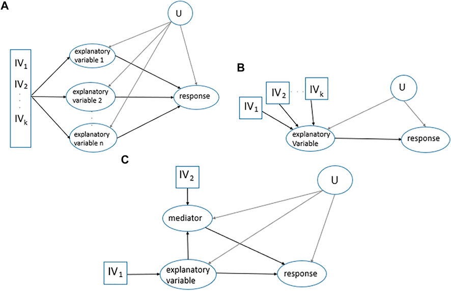Frontiers | From classical mendelian randomization to causal