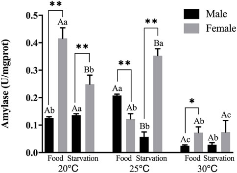 【本物保証】 Frontiers mussels of performance digestive Sex-specific | 着物・浴衣