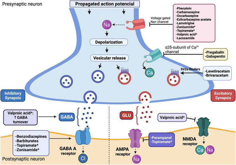 Can Topiramate be used in combination with other anti-epileptic drugs for better seizure control? Can Topiramate be used in combination with other anti-epileptic drugs for better seizure control?