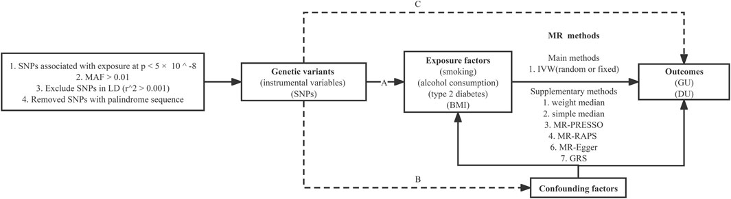 41423_2024_1156_Fig1_HTML.png