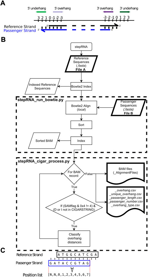 Frontiers | stepRNA: Identification of Dicer cleavage signatures and ...