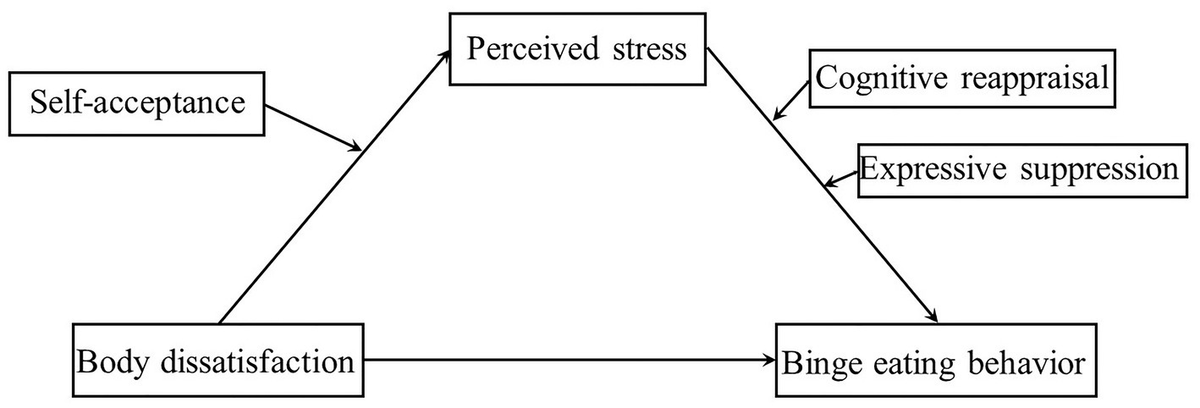Frontiers Effect Of Body Dissatisfaction On Binge Eating Behavior Of Frontiers Effect Of Body Dissatisfaction On Binge Eating Behavior Of