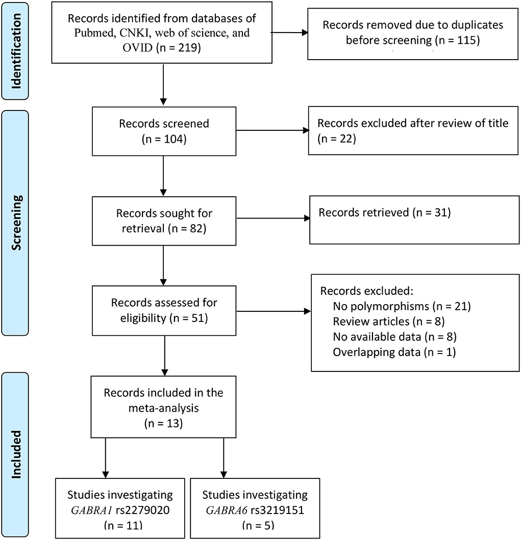 かれん Oligogenic effects of 16p11.2 copy number variation on