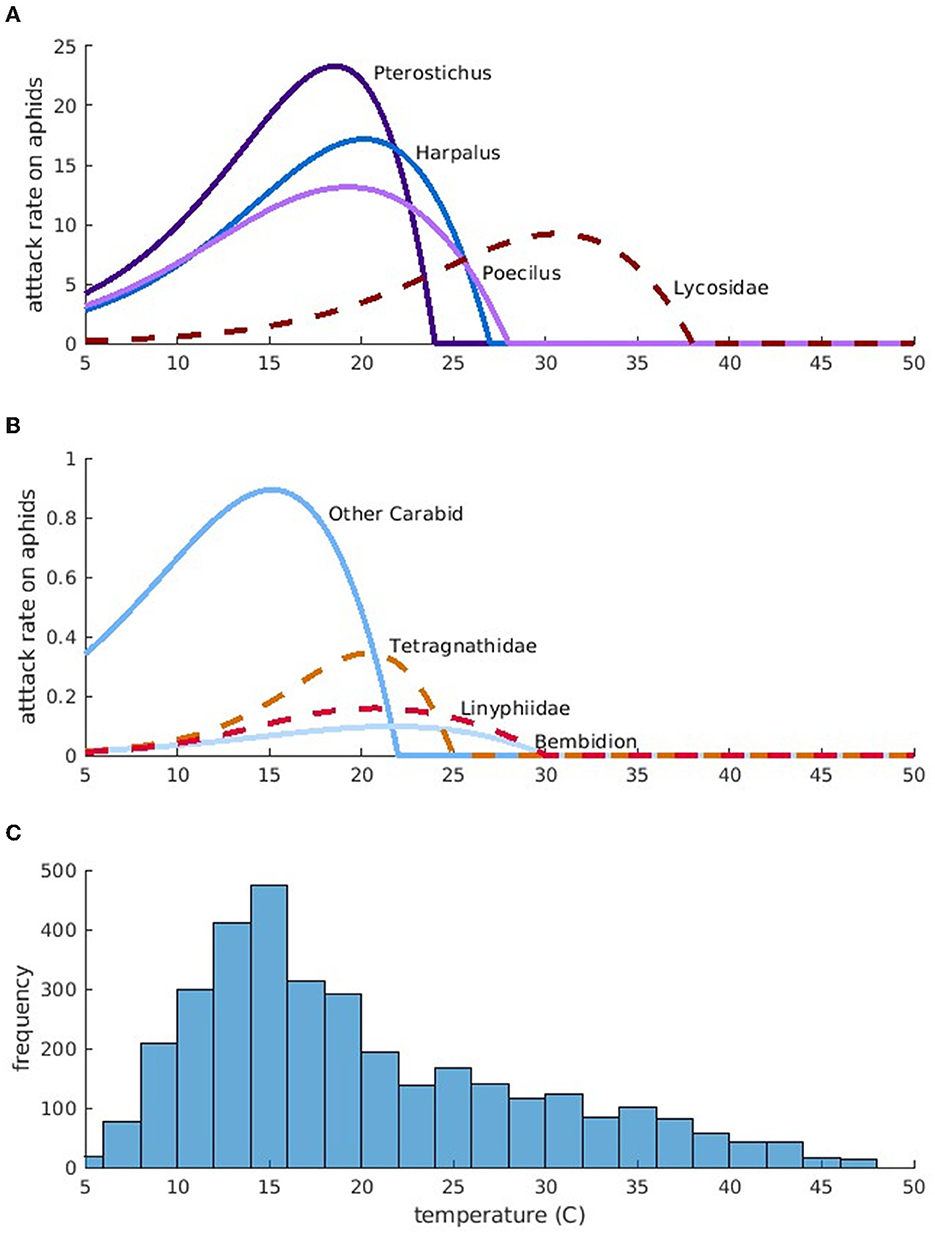 Frontiers | Temperature fluctuation alters optimal predator community ...