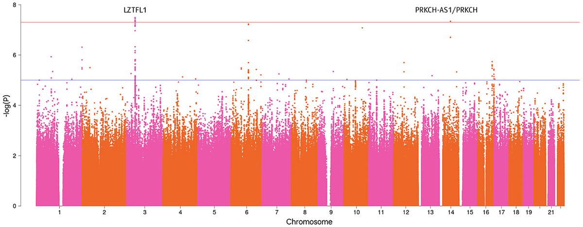 GWAS and polygenic risk score of severe COVID-19 in Eastern ...