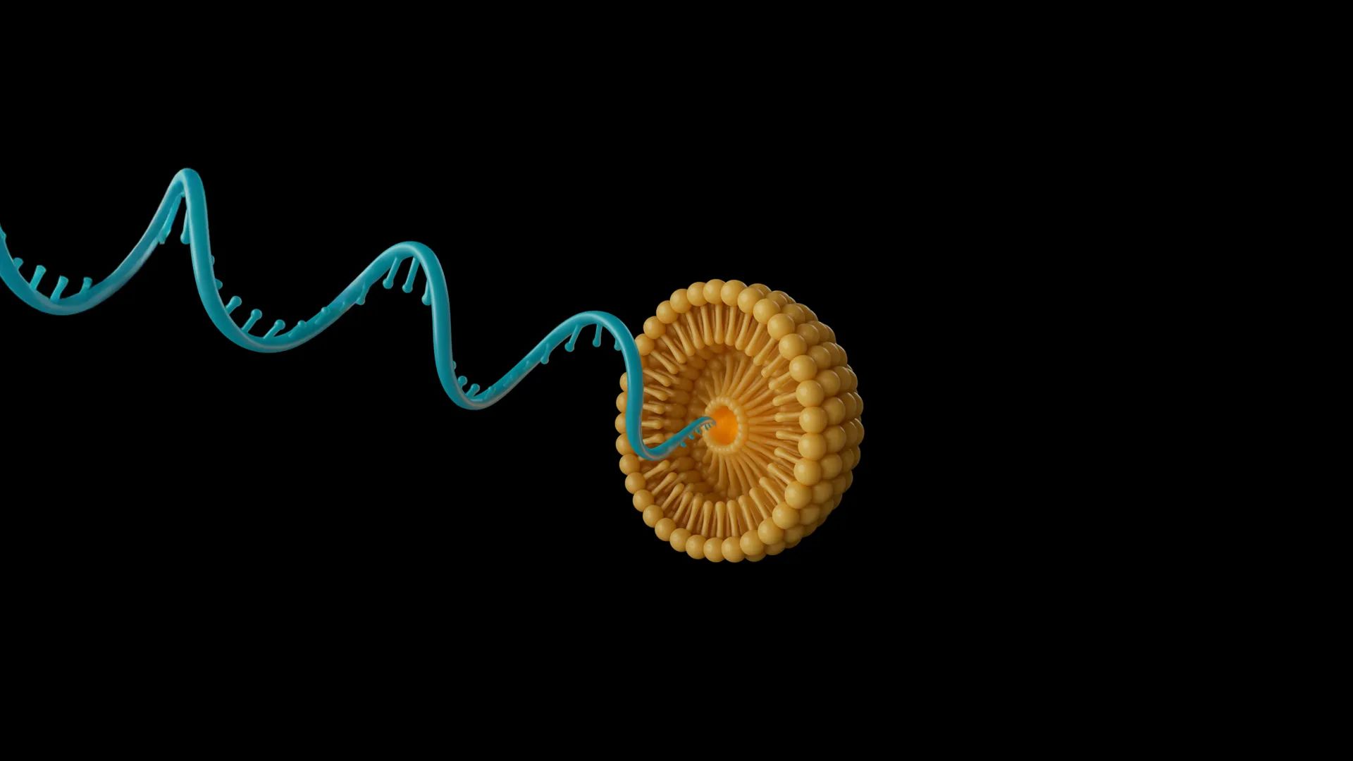 3D illustration of a single-stranded RNA strand emerging from a spherical lipid nanoparticle on a black background.