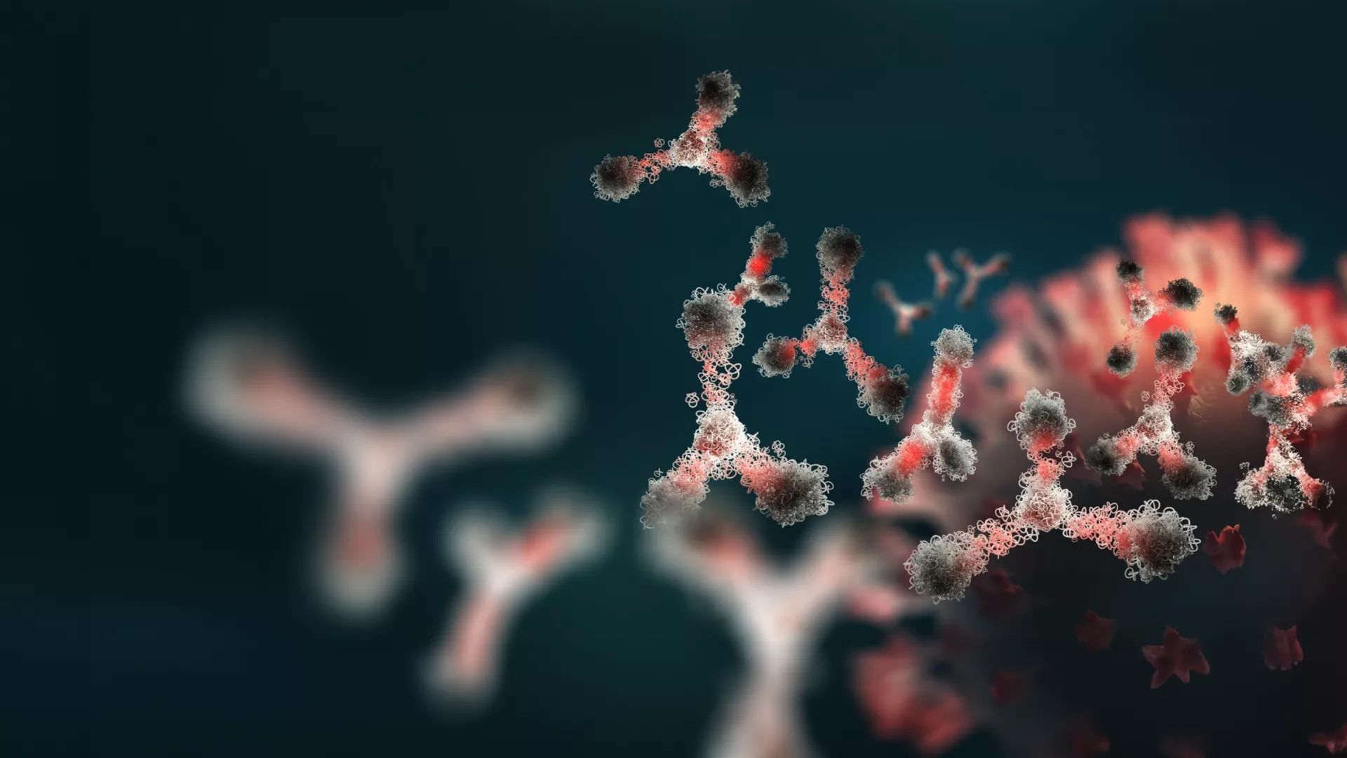 3D illustration of antibodies with a virus in the background.