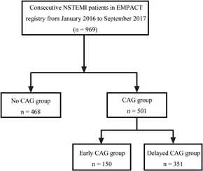 fcvm-09-1000554-g001.jpg