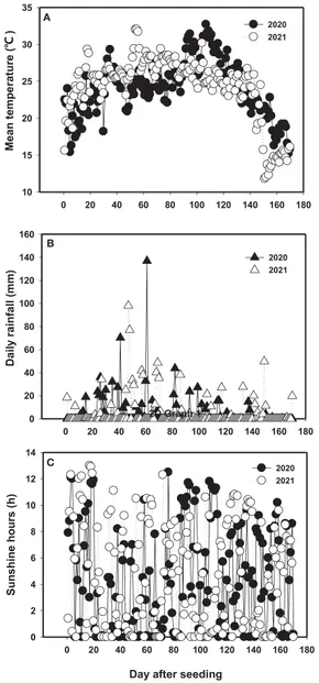 サンプル Advances of metal halide perovskite large-size single