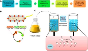 フィギュア41個セット fbioe-10-1028691-g008.jpg