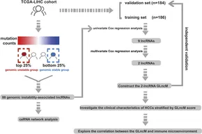 Frontiers | Development and validation of a genomic