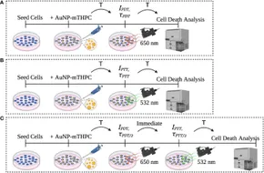 Frontiers | A predictive model for personalization of