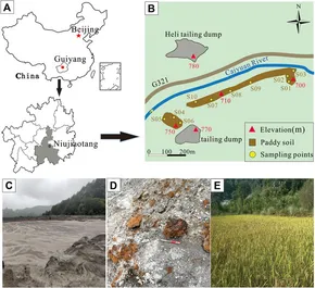 Frontiers | Carbonate mineral controls the transport of Cd