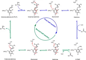 aminaseページ fctls-02-1049179-g003.jpg