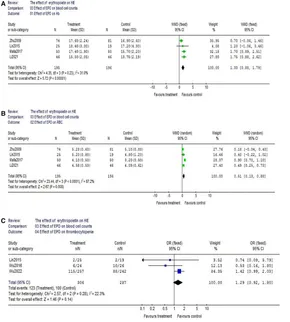 Frontiers | The effect of erythropoietin on neonatal hypoxic