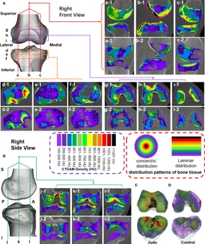 Frontiers | Variation characteristics of stress distribution