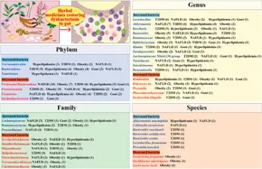 fphar-14-1105405-g001.jpg