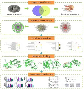 - order page - RAS Frontiers | “Drying effect” of fructus aurantii components