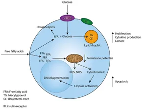 UofL immunologist summarizes functions of protein family