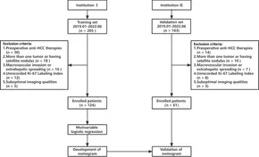 Frontiers | Gadoxetic acid-enhanced MRI combined with T1