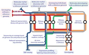 Frontiers | Next Generation Quantitative Genetics in Plants