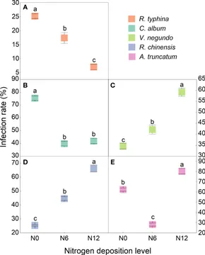 Frontiers | Arbuscular mycorrhizal fungi inoculation exerts