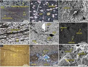 note 50 3G/64. 新品 Frontiers | Episodic hydrothermal activities impact on