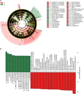 Frontiers | Microbial community diversity and potential Frontiers | Microbial community diversity and potential