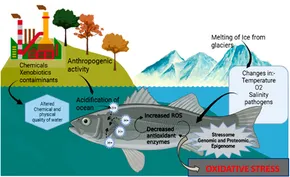 The Toxicology of Fishes | Richard T. Di Giulio, David E