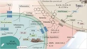 pi-ch様 Recent Advances in Advanced Micro and Nanomanufacturing for