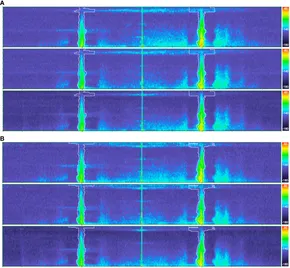 Frontiers | Waves from compact SeaSonde® High Frequency