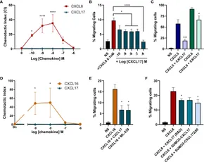 Frontiers | CXCL17 binds efficaciously to glycosaminoglycans Frontiers | CXCL17 binds efficaciously to glycosaminoglycans