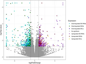 Frontiers | A comprehensive transcriptomic analysis of the