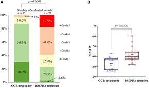 Frontiers | Case report: Pathological differences in