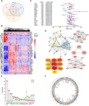 Frontiers | Identification of molecular subtypes and