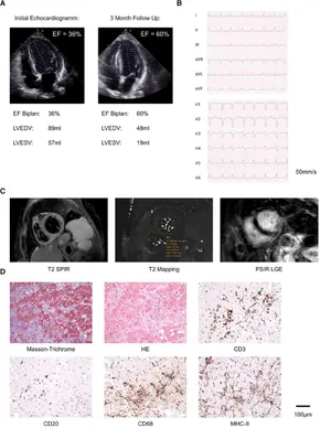 【一部予約販売中】 fcvm-11-1328378-g001.jpg 健康・医学
